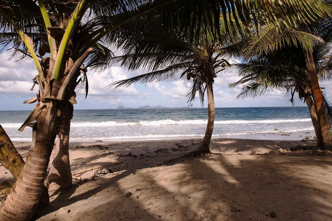 Petite Anse Hotel Mount Alexander 4*,  Grenada