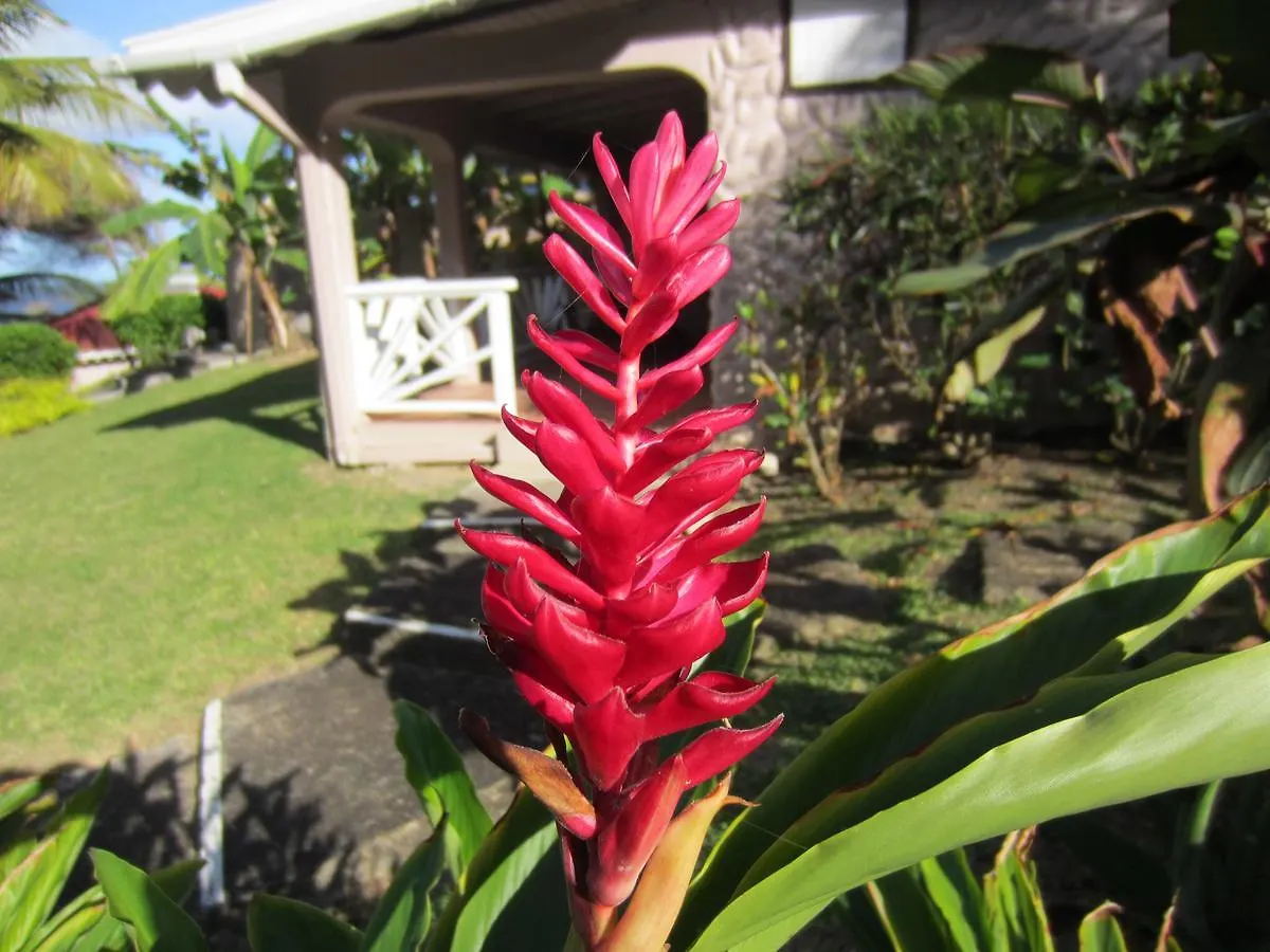 Petite Anse Hotel Mount Alexander