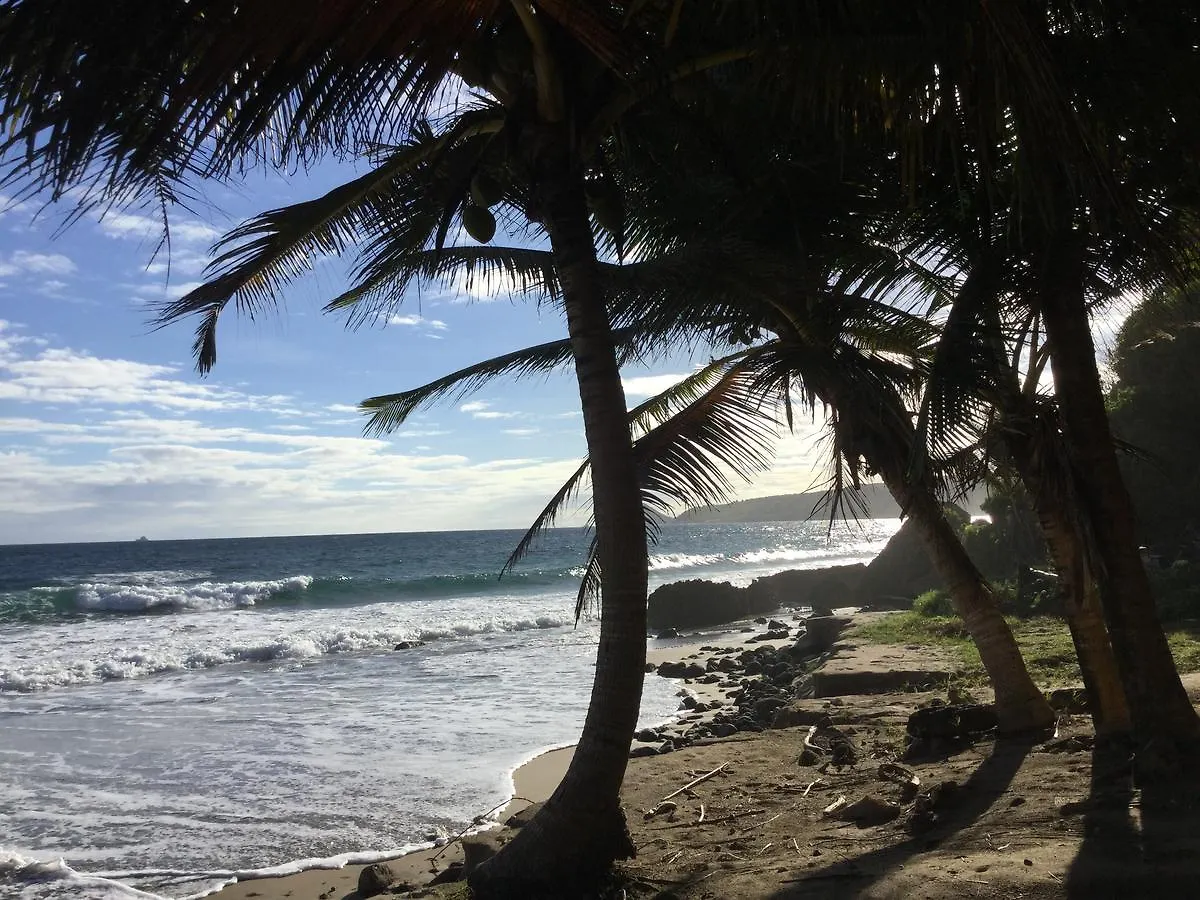 Petite Anse Hotel Mount Alexander