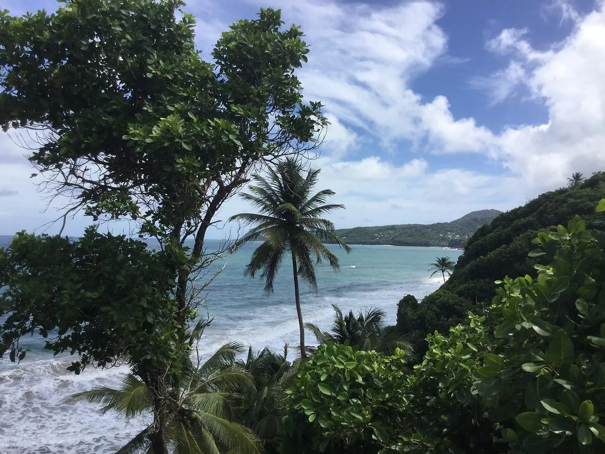 Petite Anse Hotel Mount Alexander Grenada