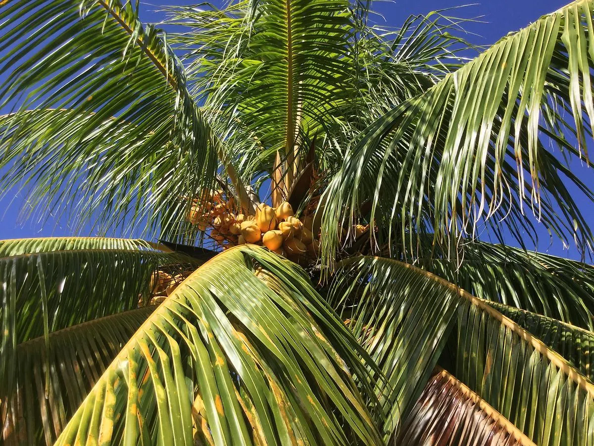 Petite Anse Hotel Mount Alexander 4*,