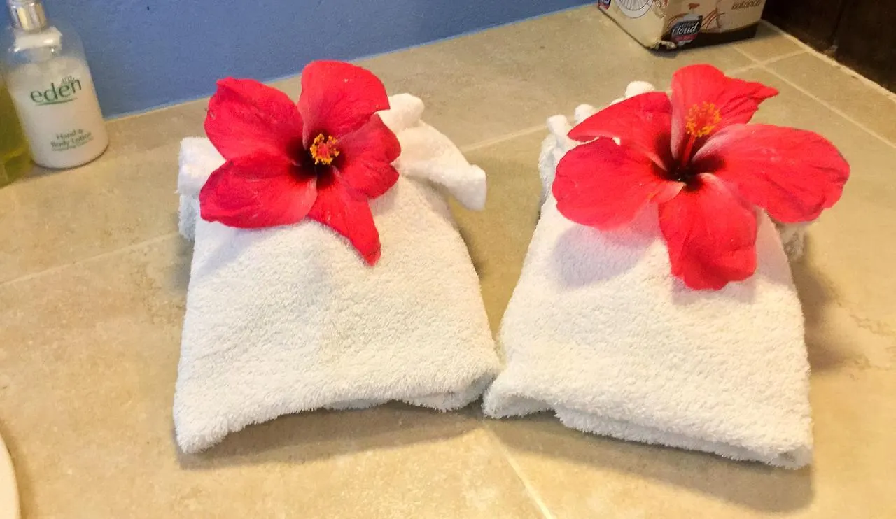 ****  Petite Anse Hotel Mount Alexander Grenada